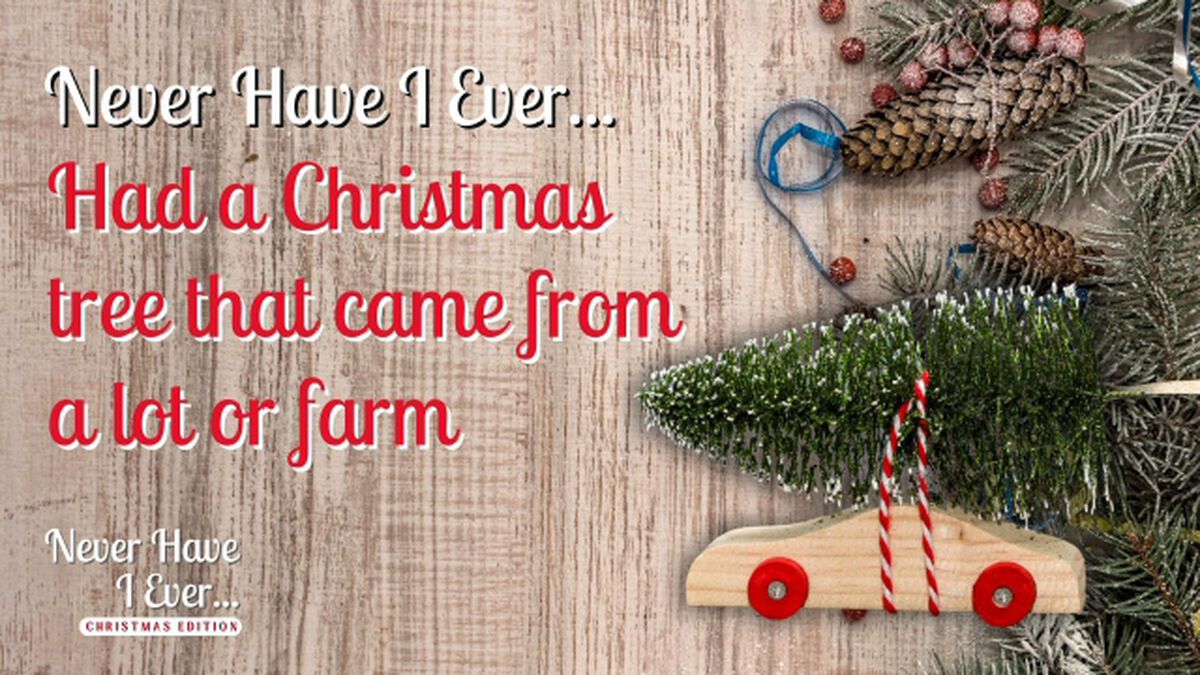 Never Have I Ever: Christmas Edition image number null